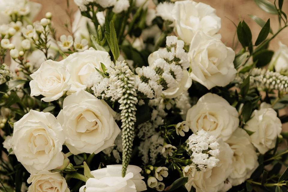 White and green