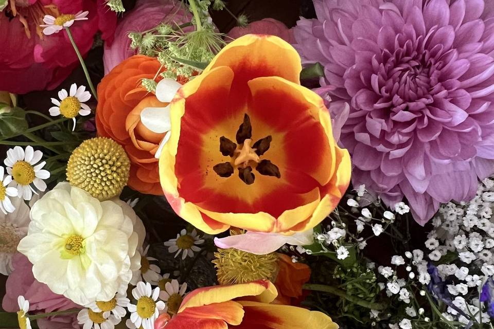 Flowers