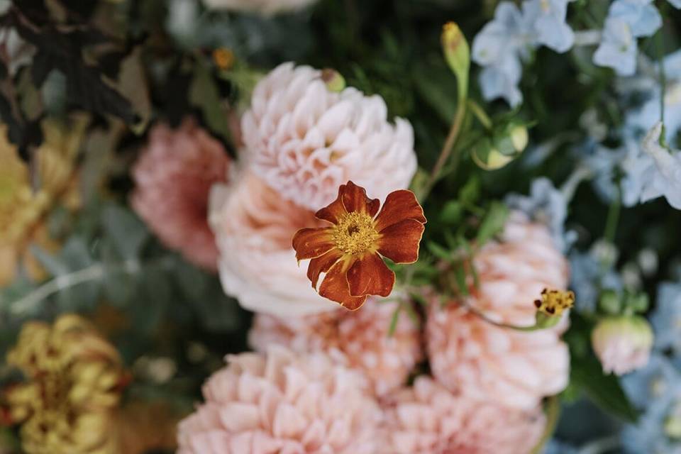 Dahlia Lane Floral