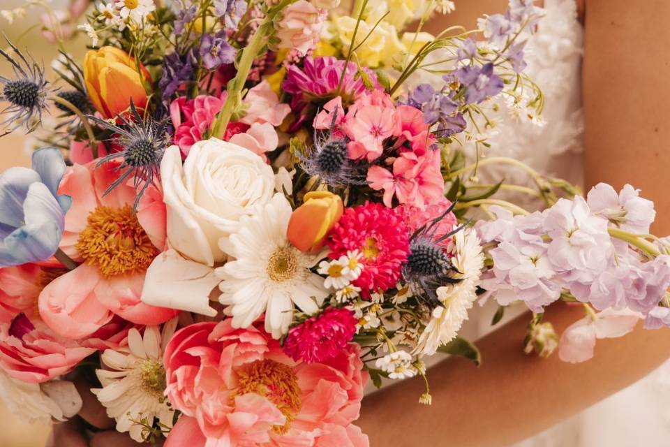 Wild flowers