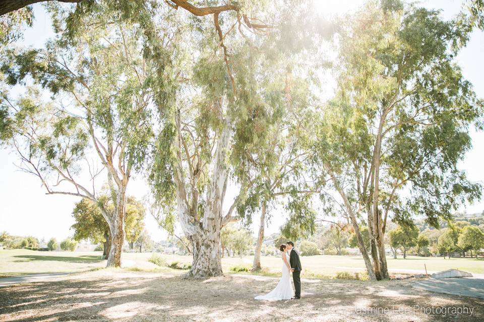 Kiss by the trees