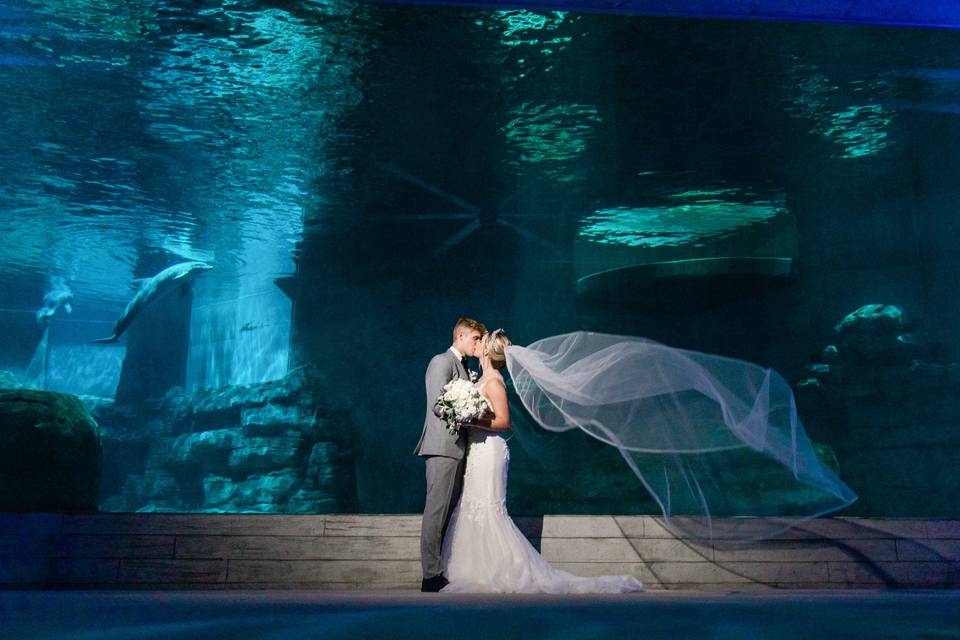 Clearwater marine Aquarium