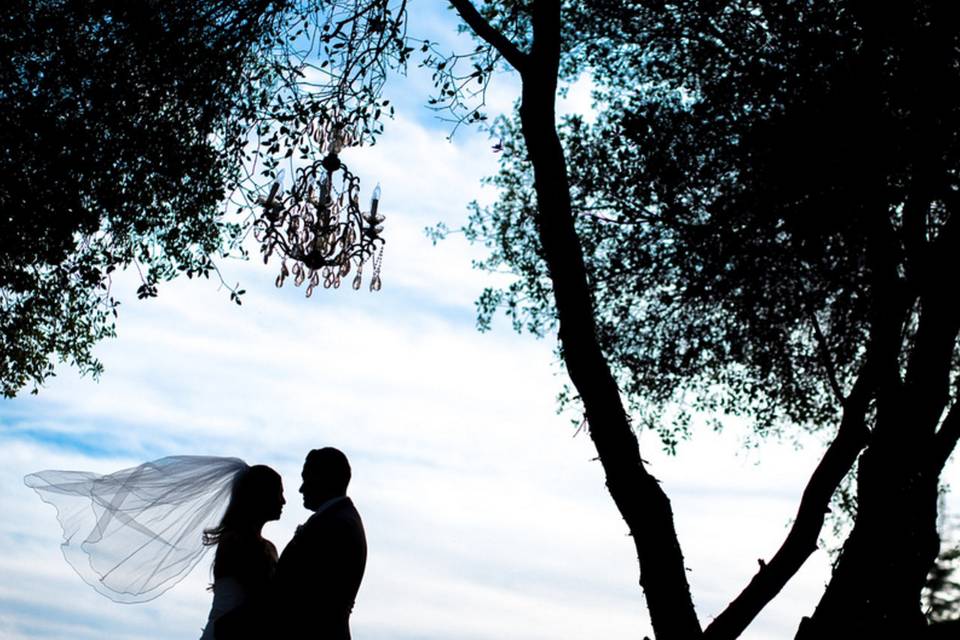 Weddings by Tana