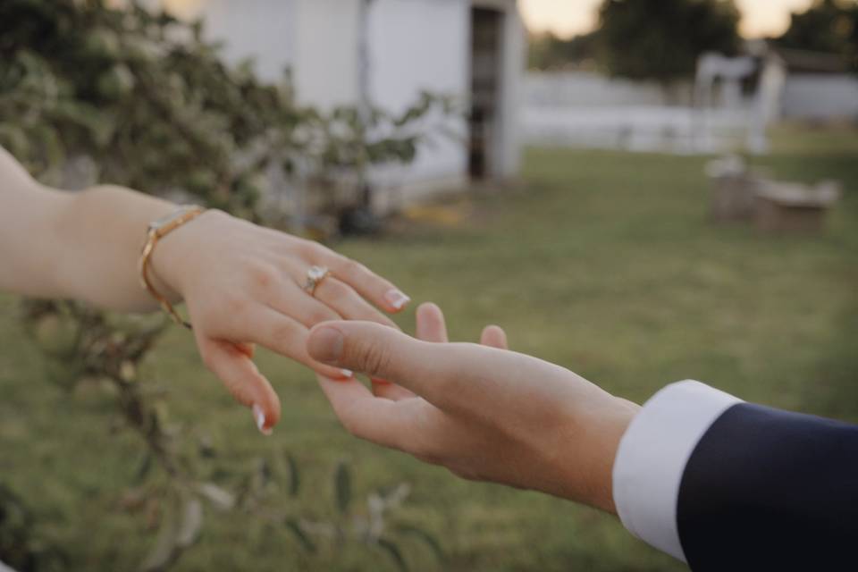 Wedding frame-16.jpg