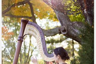 Sarah Javaux, Harpist