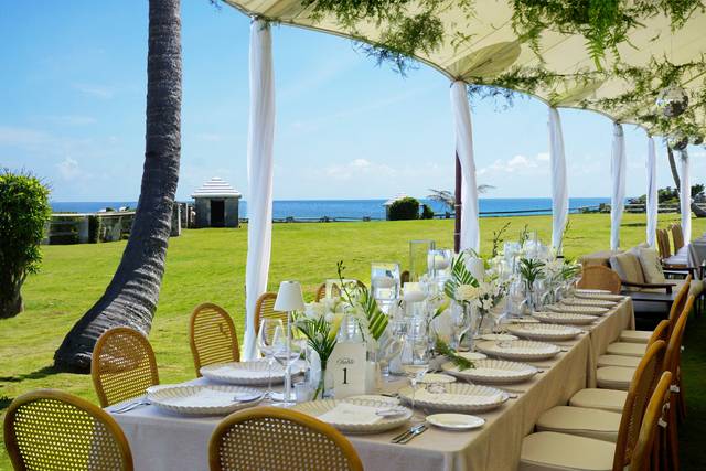 Long dinner table