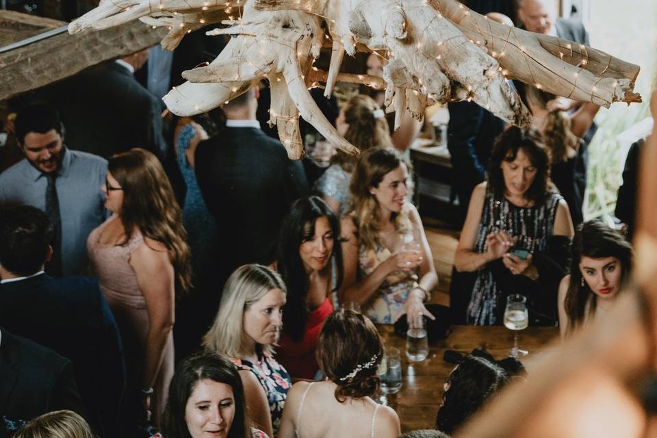 Driftwood Chandelier