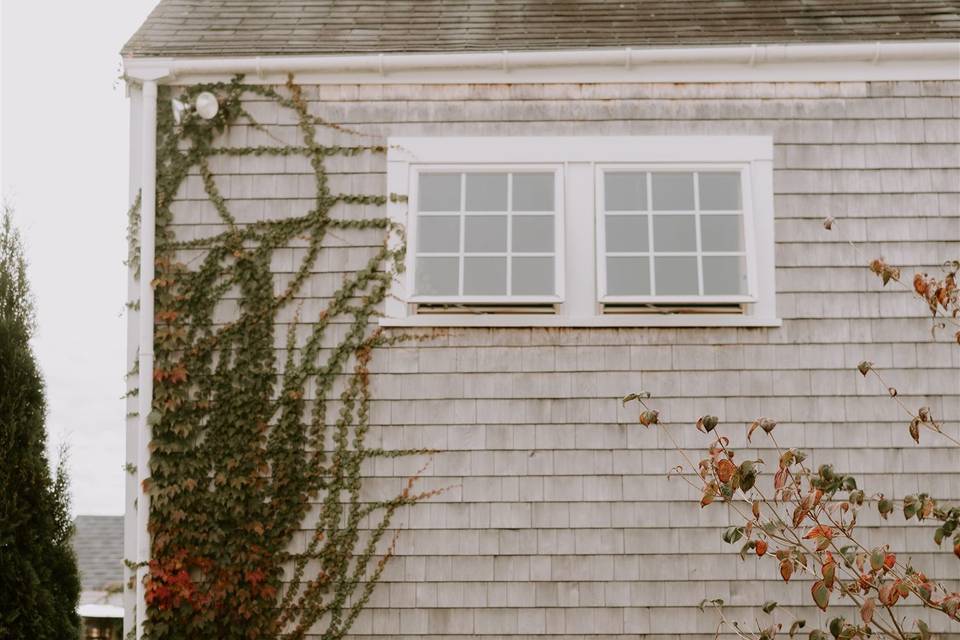 Fall Hydrangea on Side of barn