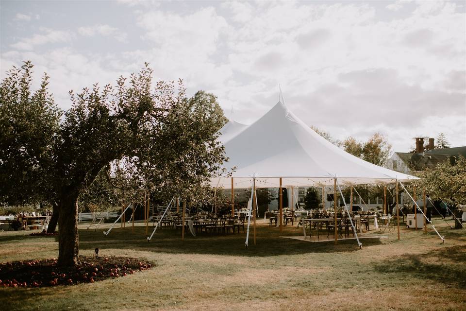 Tent in the Apple Orchard
