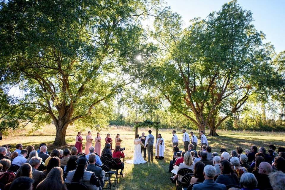Wedding Ceremony in the Grove
