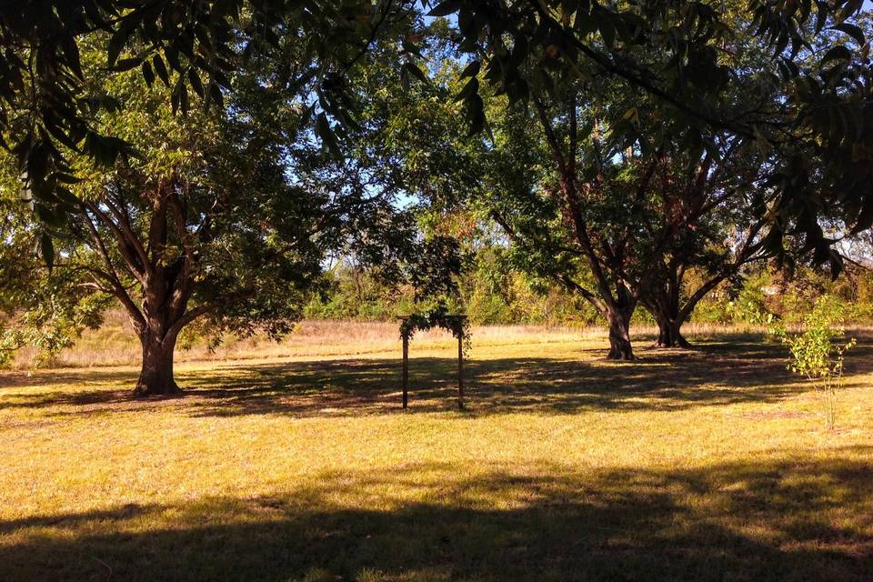 The Pecan Grove