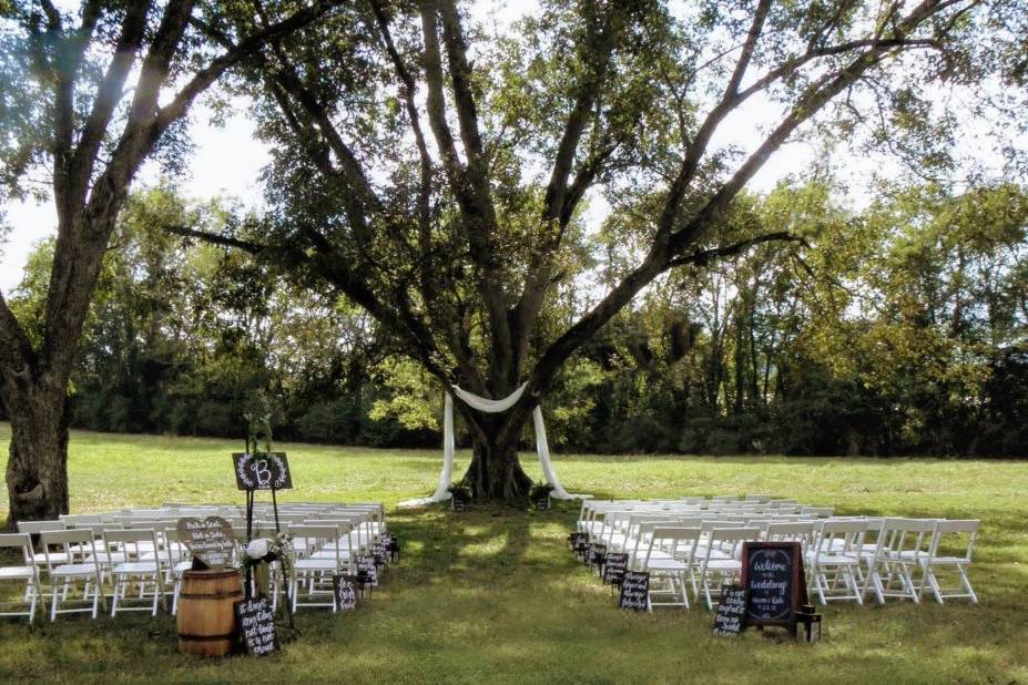 Ceremony in the Pecan Grove