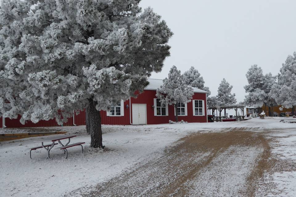 Snowy day in April