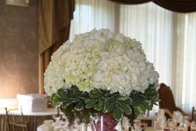 Beautiful Blooms by Kelly