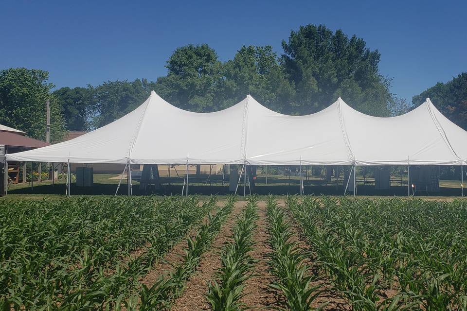 Farm wedding