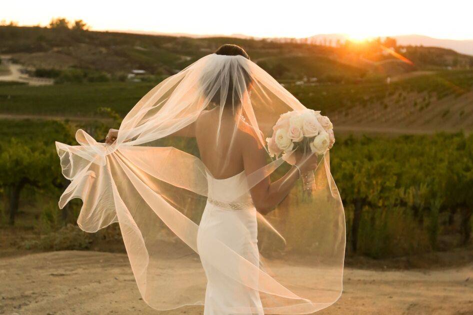 The bride holding a bouquet