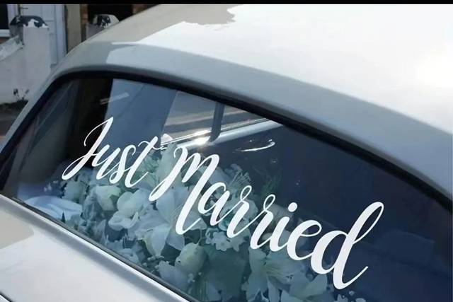 All Things Wedding Supplies