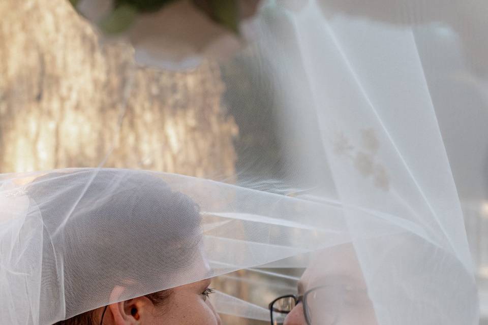 Veil shot
