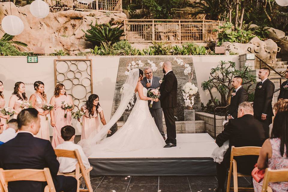 Gorgeous Laguna Beach Wedding Video