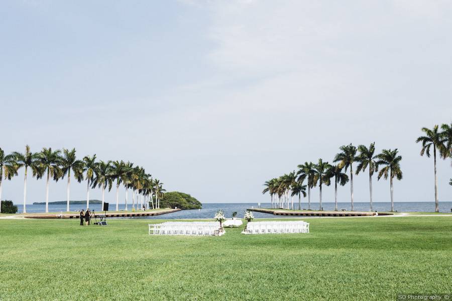 Palm trees and water views