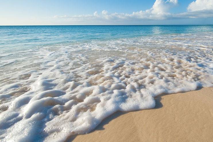 Leigh Ann Geiger Travel