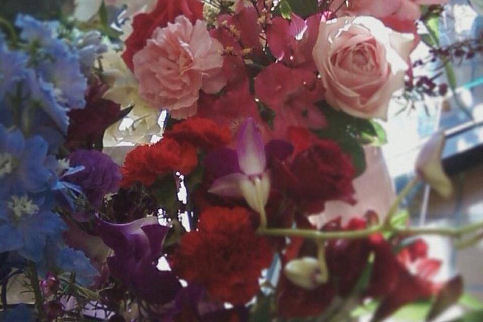 Jolly Lane Floral