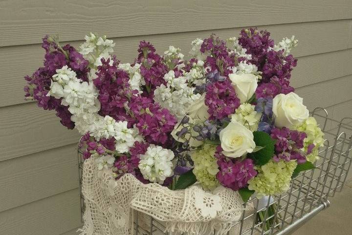 Jolly Lane Floral