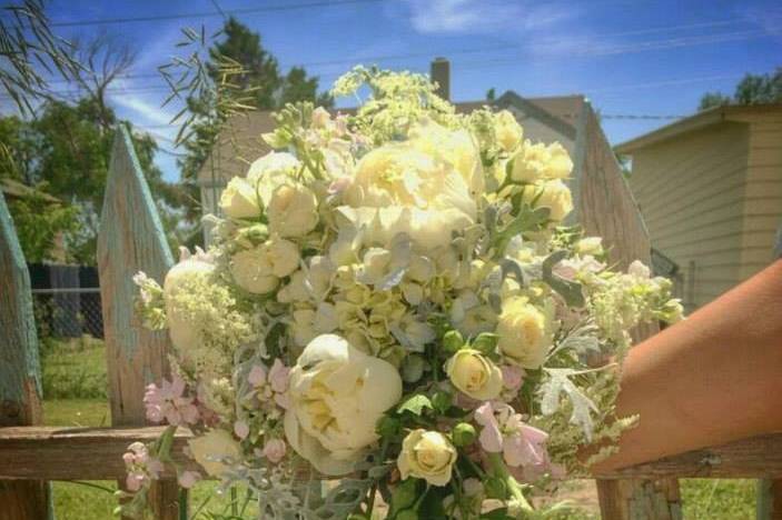 Jolly Lane Floral
