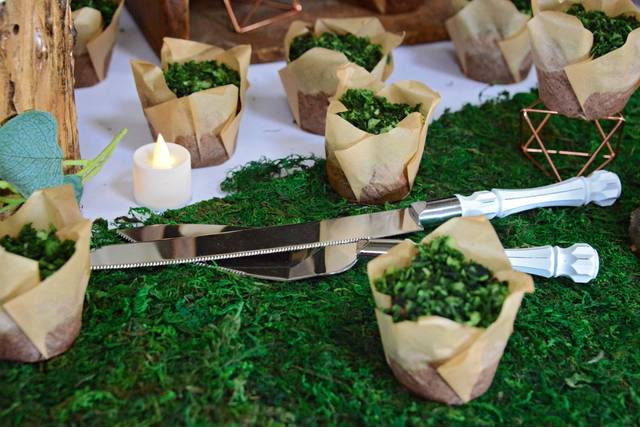Coconut Moss Cupcakes barn
