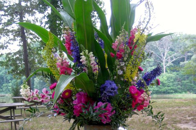 A splash of color