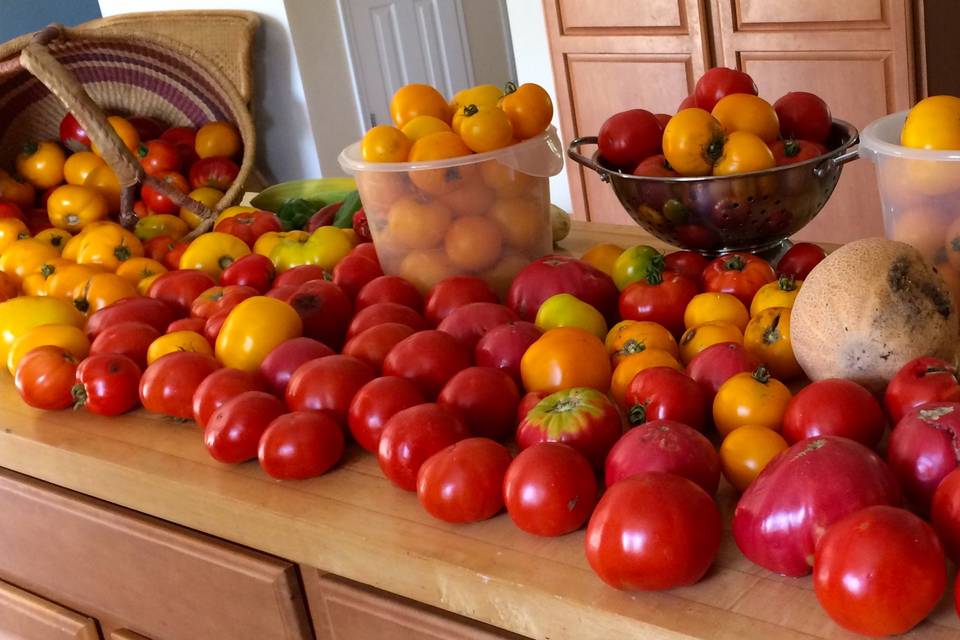 We grow our own for you