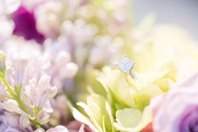 Rebecca L Jones Photography