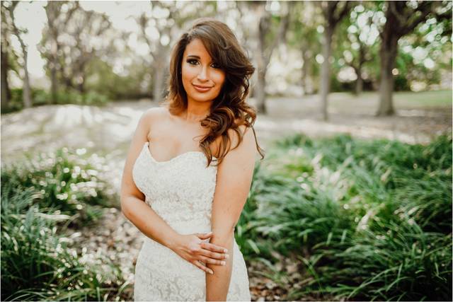 Wings Of Glory Photography