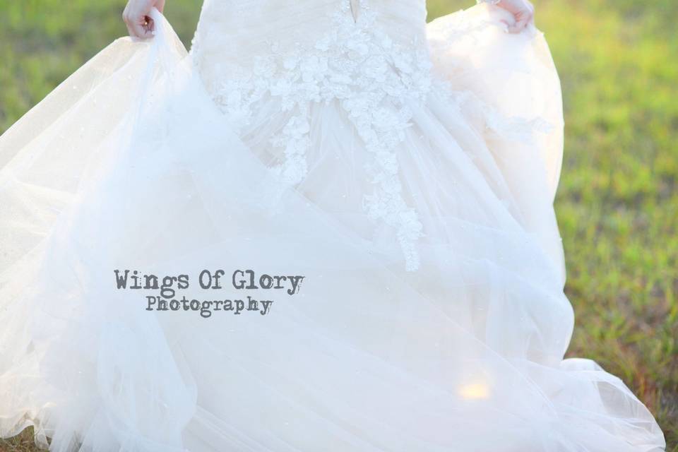 Wings Of Glory Photography