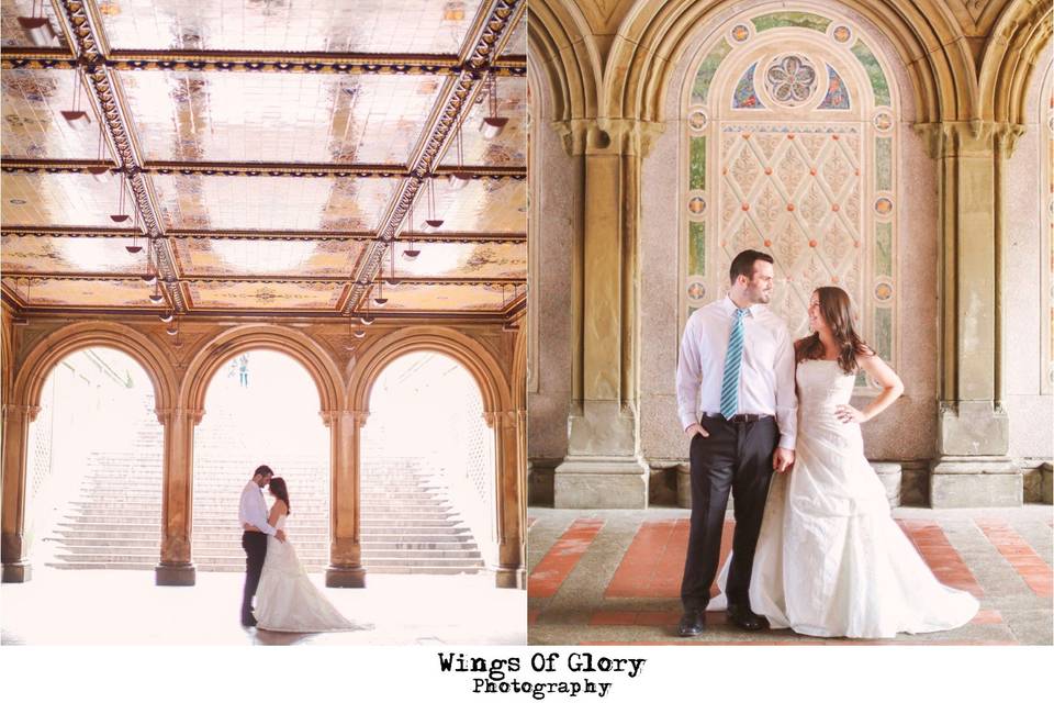 Wings Of Glory Photography