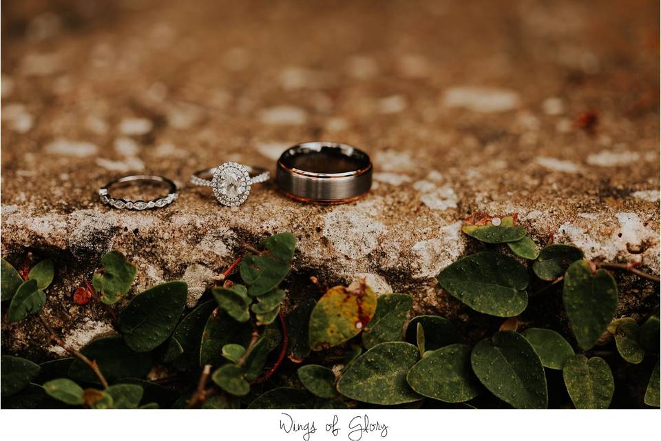 The rings - Wings Of Glory Photography