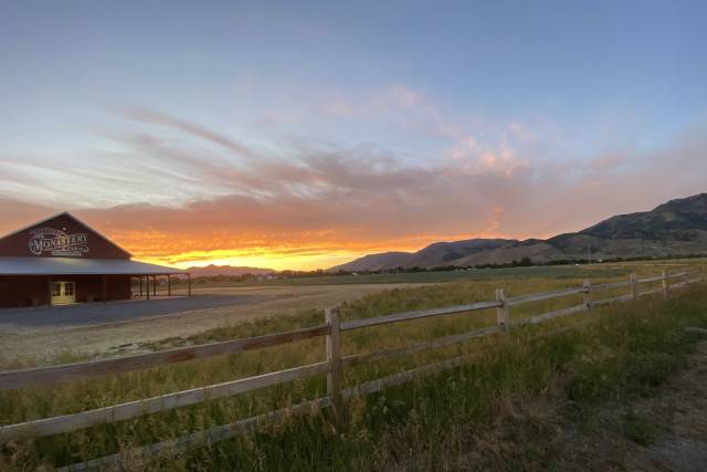 IMG_5946.jpeg