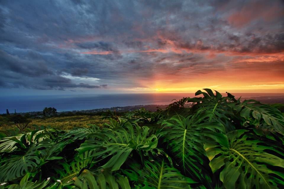 Kona Sunset