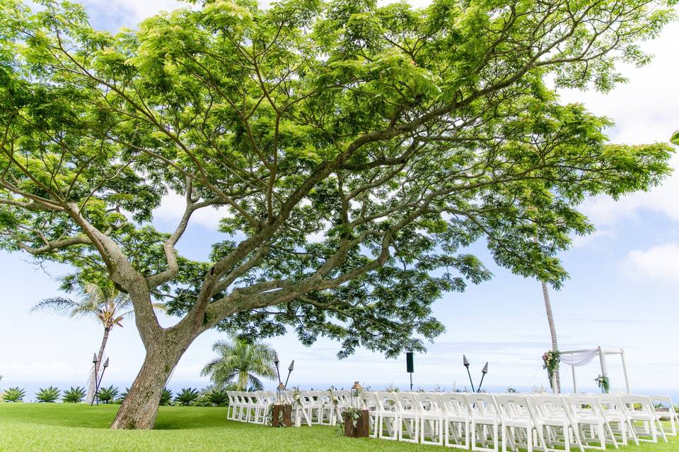 Great Lawn Daytime Ceremony