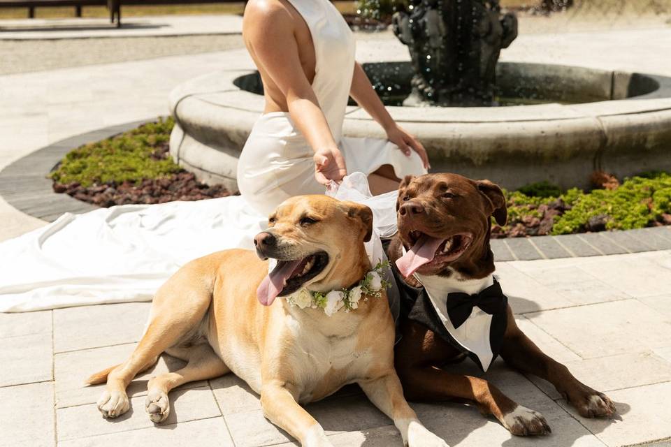 Wedding Day