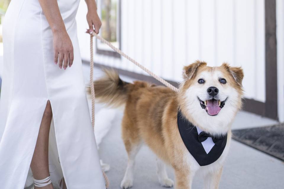 Wedding Day