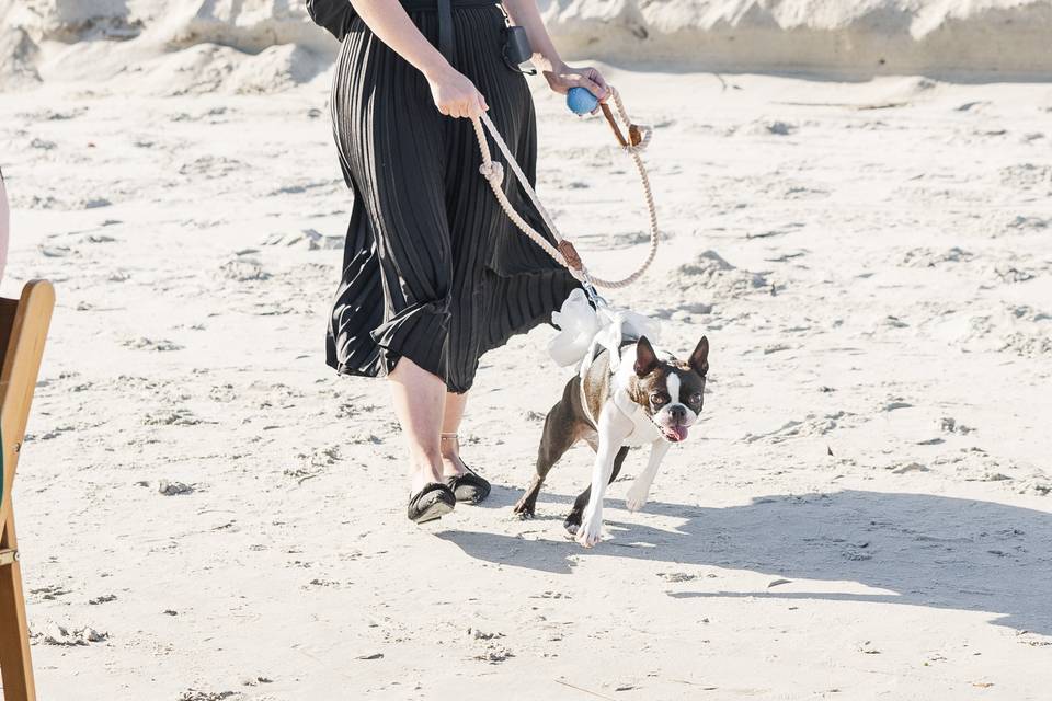 Bella on Wedding Day