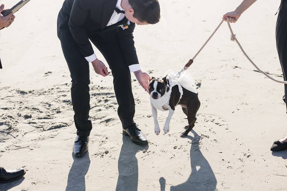 Bella on Wedding Day
