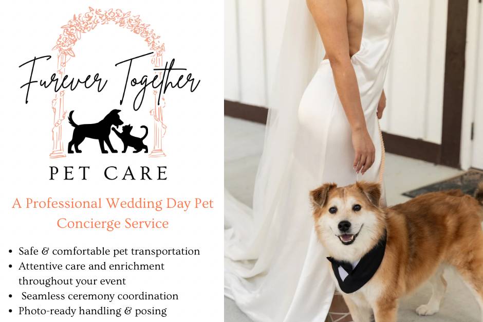 Wedding Day