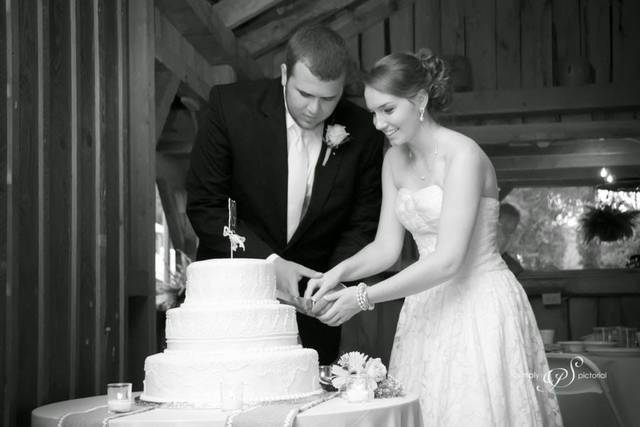 Cake cutting