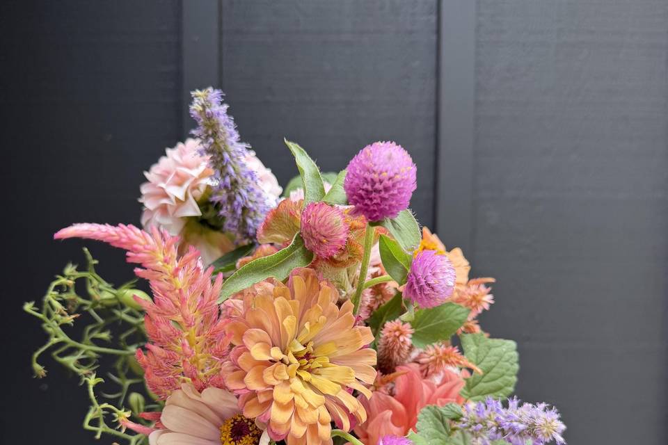 SunHill Flower Farm