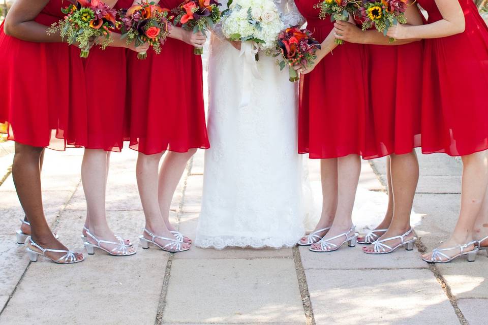 The bride with her bridesmaids