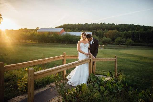 Dawn Honsky Photography