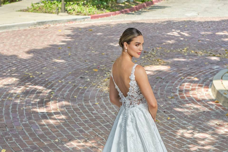 Jasmine Spring 25'