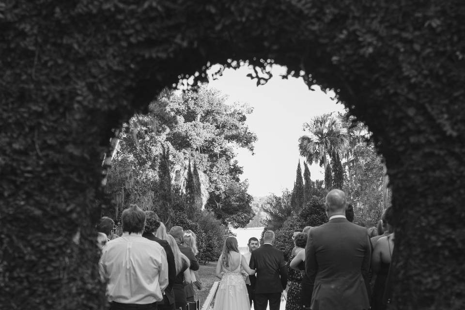 The Hall's